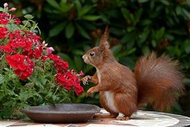 &quot;Flower Delivery Denver Colorado